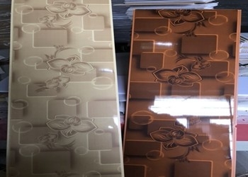 Progetti i pannelli di parete del PVC di diversità 3D/3D che i pannelli di parete decorativi facili installano